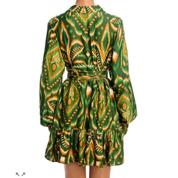 Farm Rio Pineapple Ikat Long Sleeve Minidress - Picture 5 of 10